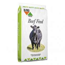 Hi Pro Beef Starter - Medicated