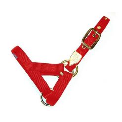 Hamiltion Llama Halter