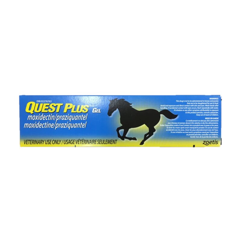 Quest Plus