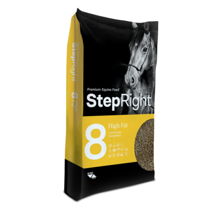 Step 8 - High Fat