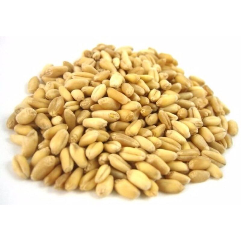 Hi Pro Whole Wheat - Image 2