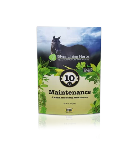 Silver Lining #10 Maintenance