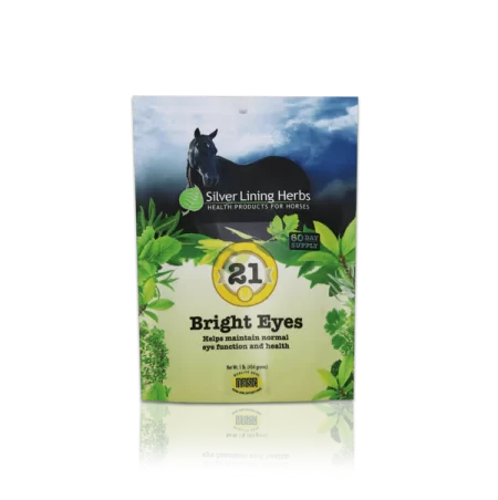 Silver Lining #21 Bright Eyes