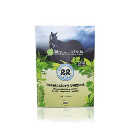 Silver Lining #22 Respiratory Support
