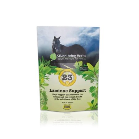 Silver Lining #23 Laminae Support