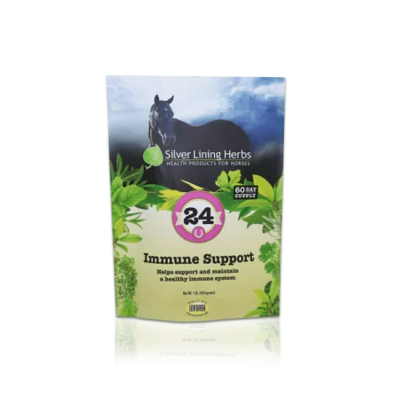 Silver Lining #24 Immune Support