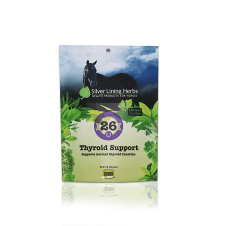 Silver Lining #26 Thyroid Support