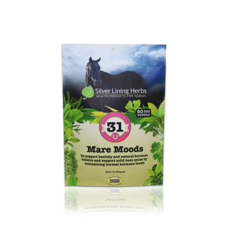 Silver Lining #31 Mare Moods