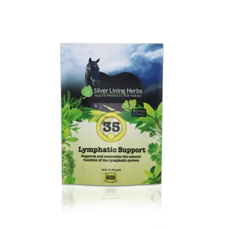 Silver Lining #35 Lymphatic Support