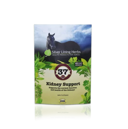 Silver Lining #37 Kidney Support