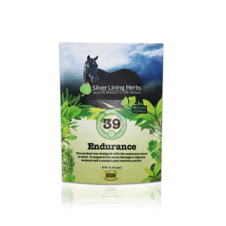Silver Lining #39 Endurance