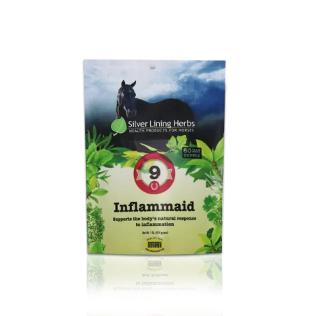 Silver Linings #9 Inflammaid