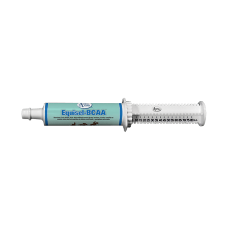 Equisel BCAA Paste