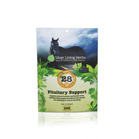Silver Lining #28 Pituitary Support