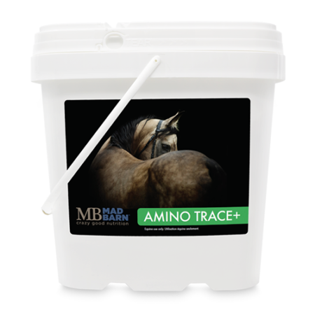 Mad Barn Amino Trace+ Pellet