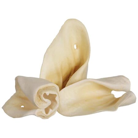 Large Cow Ears